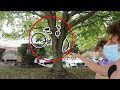 Putting Bikes in Trees!