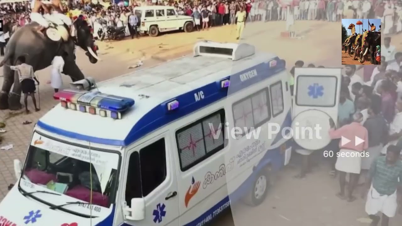 കണ്ണെങ്കാവ് പൂരം ആന ഇടഞ്ഞു | kannenkavu pooram Elephant attack