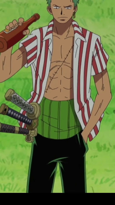 Zoro is that you