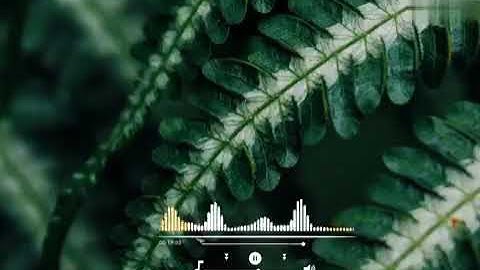 آيات من الذكر الحكيم إلى النساء المؤمنات