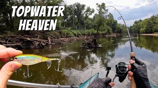 Casting a Berkeley Choppo for Hungry River Predators (DNR Encounter)