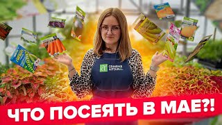 УСПЕВАЙТЕ! Что посеять в мае?