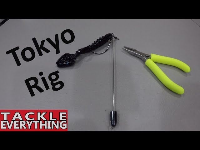 DIY Tokyo Rig. Guys, please, tell me if I have this rigged right