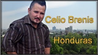 Inmerecido Amor-Celio Brenis chords