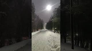 Winter Is The Season Of White Snow And Silenke.