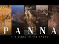 Panna national park  a must watch 12 minutes wildlife documentary  4k
