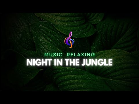 Melodía relajante para dormir profundamente - NIGHT IN THE JUNGLE -