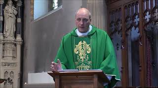 Father Darren Carden 's homily from the Mass for the Sick Homily