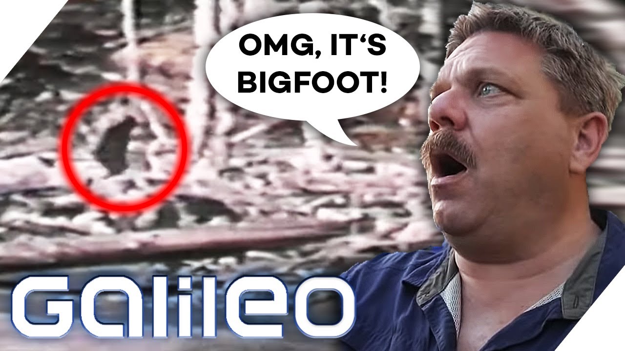 Auf den Spuren Bigfoots: Eine Nacht im Wald für 500 Dollar? | Galileo | ProSieben