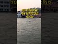 ध्यान से देखो बीच गंगा जी में कैसे तैर रहे लोग#haridwar #haridwarvlog #ganga #viralvideo #shortvideo