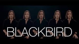 Geoff Castellucci - Blackbird [Beatles Bass Singer Cover]