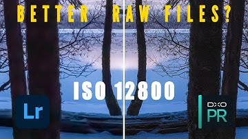 Create Better RAW Files? Testing DxO PureRAW