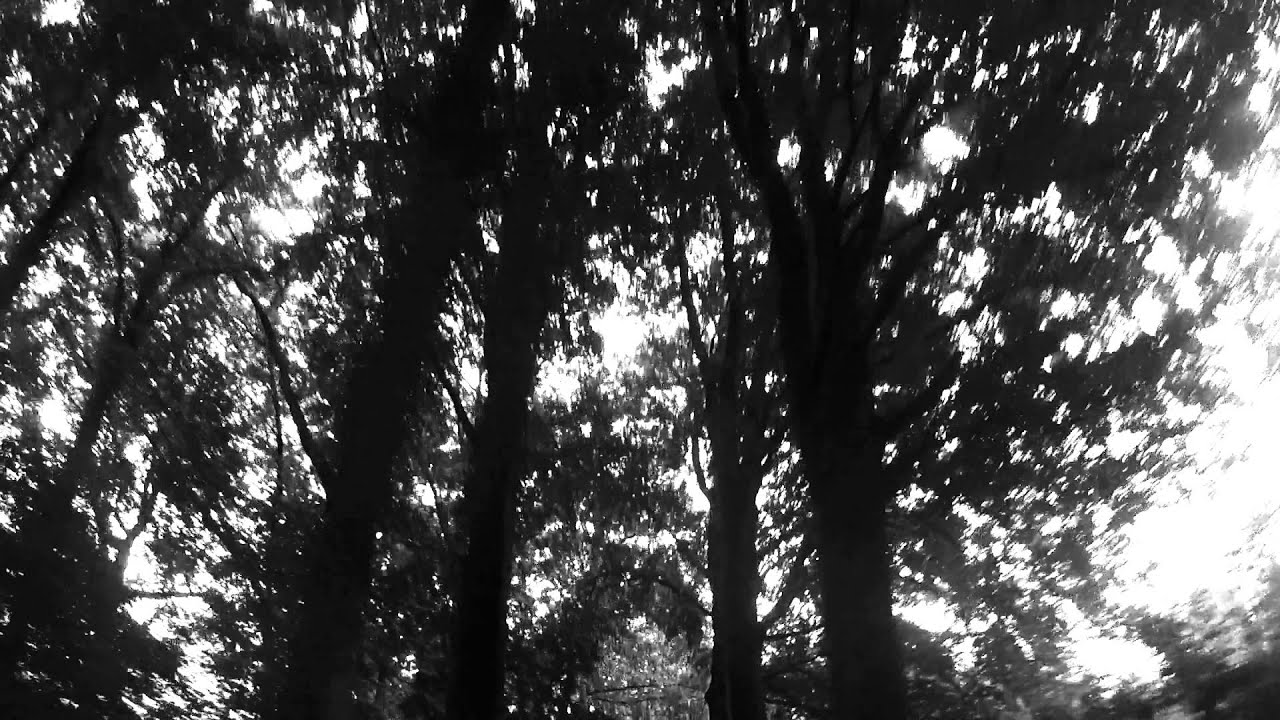 Trixie Whitley - "Breathe You In My Dreams" (Anton Coene Clip)