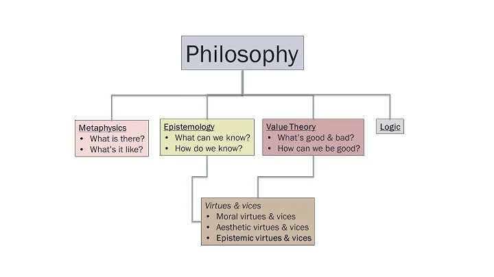 Mark Alfano: Epistemic Virtues and Vices (1/6)