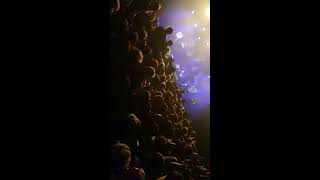 The Word Alive - Entirety Live @ Hungary, Budapest (2017. 03. 13.)