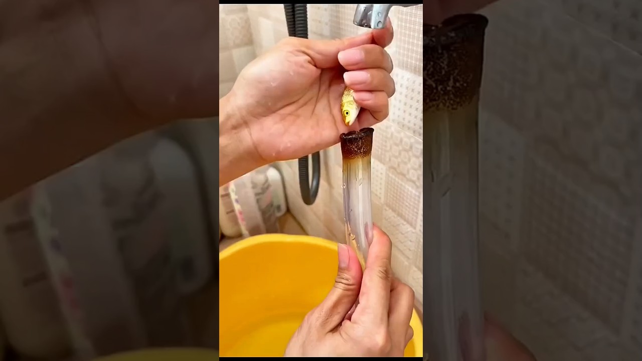 Watch 😱 Uncle Changes the Fish Tank Water Again! 🐠💔 Will the Fish Be Safe This Time? 😨 #shorts on YouTube Watch 😱 Uncle Changes the Fish Tank Water Again! 🐠💔 Will the Fish Be Safe This Time? 😨 #shorts on YouTube