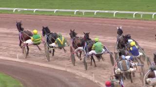 Vidéo de la course PMU PRIX DE L'AUTRICHE