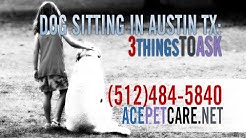 Austin Dog Sitter Expert | Ace Pet Care | (512)484-5840