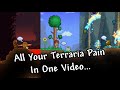 All Your Terraria Pain in One Video... SUPERCUT