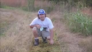 BCS RollerBlade Flail mower
