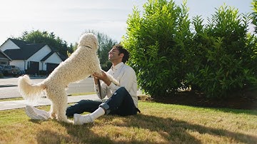 Pixellu | What are you waiting for?