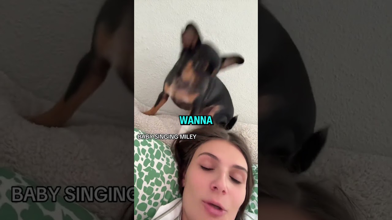 Singing Dog🎤🐕