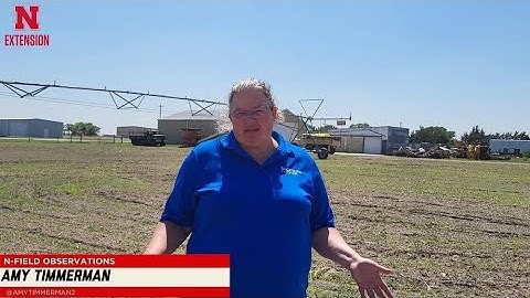 Annual Forages & Cover Crops Update