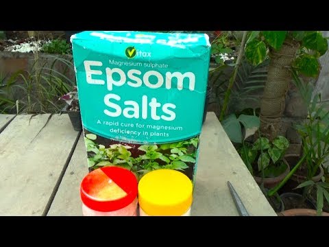732# What Is Epsom Salt | What Is Magnesium Sulfate | in Depth Information