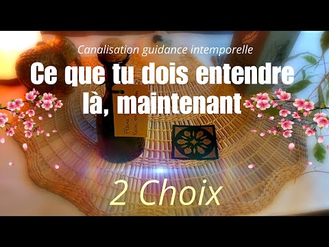 Ce que tu dois entendre là maintenant ✨2 Choix 🪶 guidance canalisation intemporelle