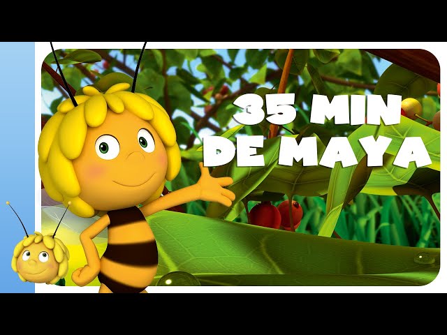 Maya L Abeille Episode 15 Maya Et Le Bebe Chenille Youtube