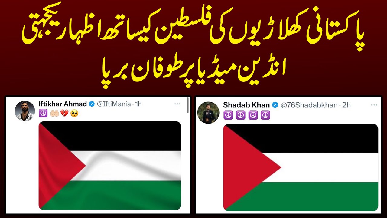 Pakistani Players Change DP On Twitter In Palestine Support | Indian Media Is Crying | Apex Sports