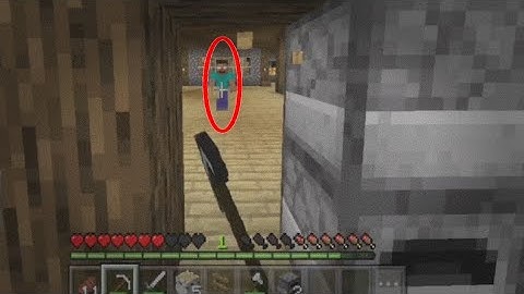 HEROBRINE SIGHTING - 2020