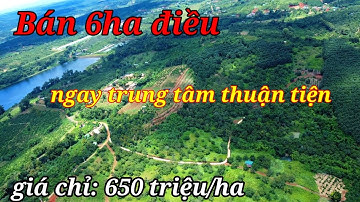 Chủ cần bán gấp trả nợ 6ha ngay trung tâm giá chỉ 650tr/ha/bán đất Đắk Nông