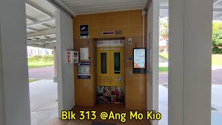Blk 313 Ang Mo Kio - 2011 EM Elevator [Lift B]
