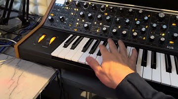 Moog subsequent 37 issues - unwanted autofilter/LFO