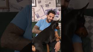 my sweet dog #viralshorts #ytshorts #shortsviral #trending #viralvideo #fyp #explorepage #shortsvide