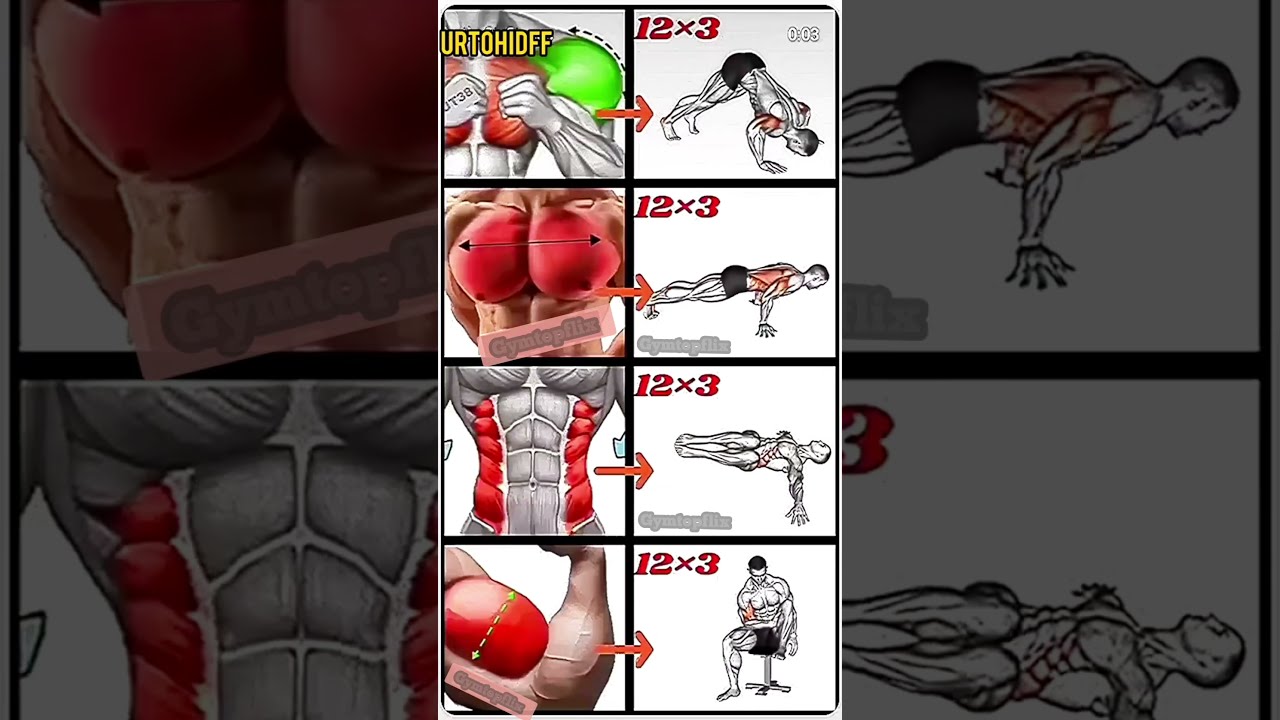 Full Body Workout At Home Shorts Viral Ytshots