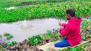 Fishing Video || Village boy are very fond of fishing with hooks || Traditional hook fishing