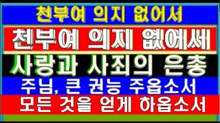 사랑과 사죄의 은총♥♬ 천부여 의지 없어서 - 경음악 찬송♬♭오케스트라경음악 ♭★ screenshot 5