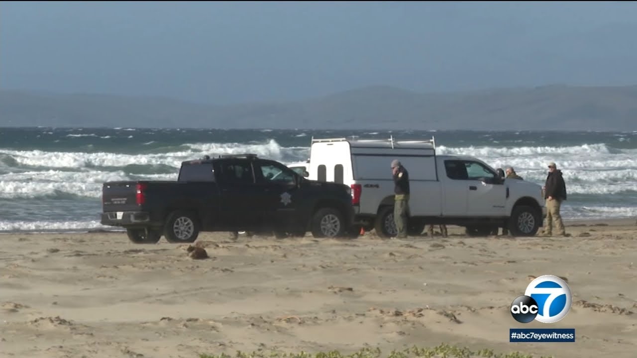 Boogie boarder killed in apparent great-white shark attack in Morro ...