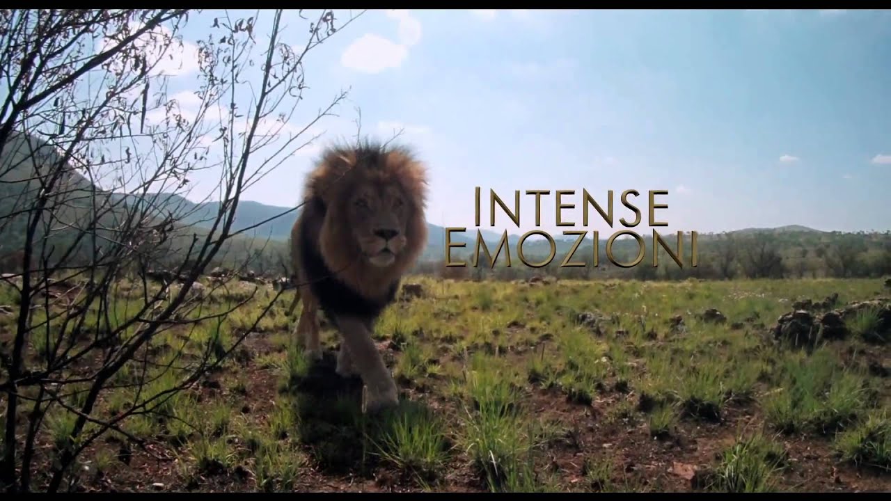 Sentieri Selvaggi Film Completo In Italiano Su Youtube
