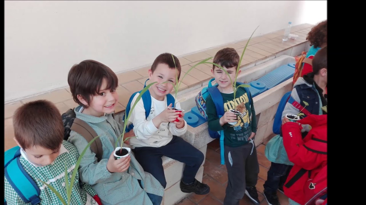 05 Ganador Infantil CEIP Reyes Católicos triodos bank wiki