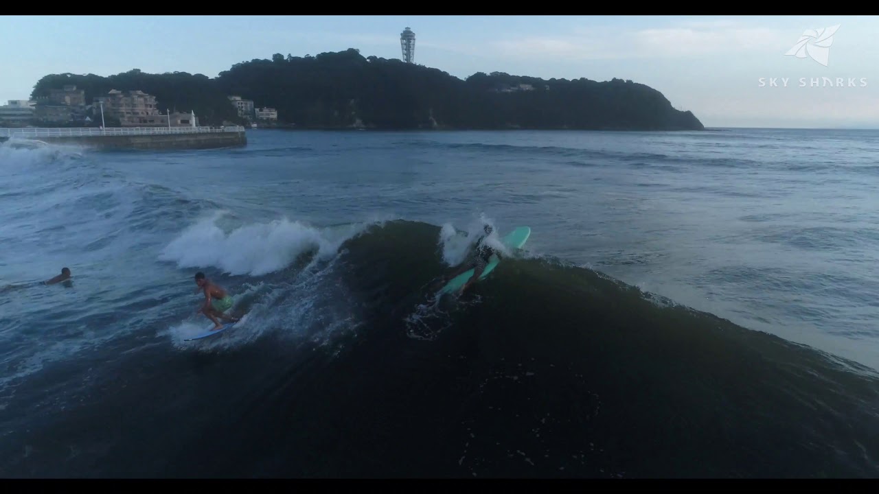 surfing dogs 8月10日(土) 18:00 サーフィン 鵠沼海岸 江の島 湘南 波情報 ドローン空撮 台風10号