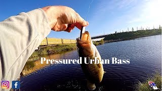 Bank Fishing For Bass In a Pressured Public Pond