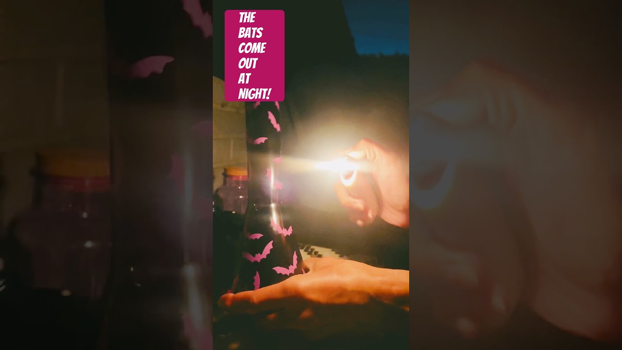 From Black to Bats! Purple Bat ​⁠Glass. 