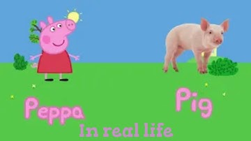 Peppa Pig character