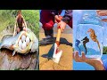 Catching Seafood 🦀🐙 ASMR Relaxing (Catch Shark , Catch Fish ,Deep Sea Monster ) - Tik Tok #310