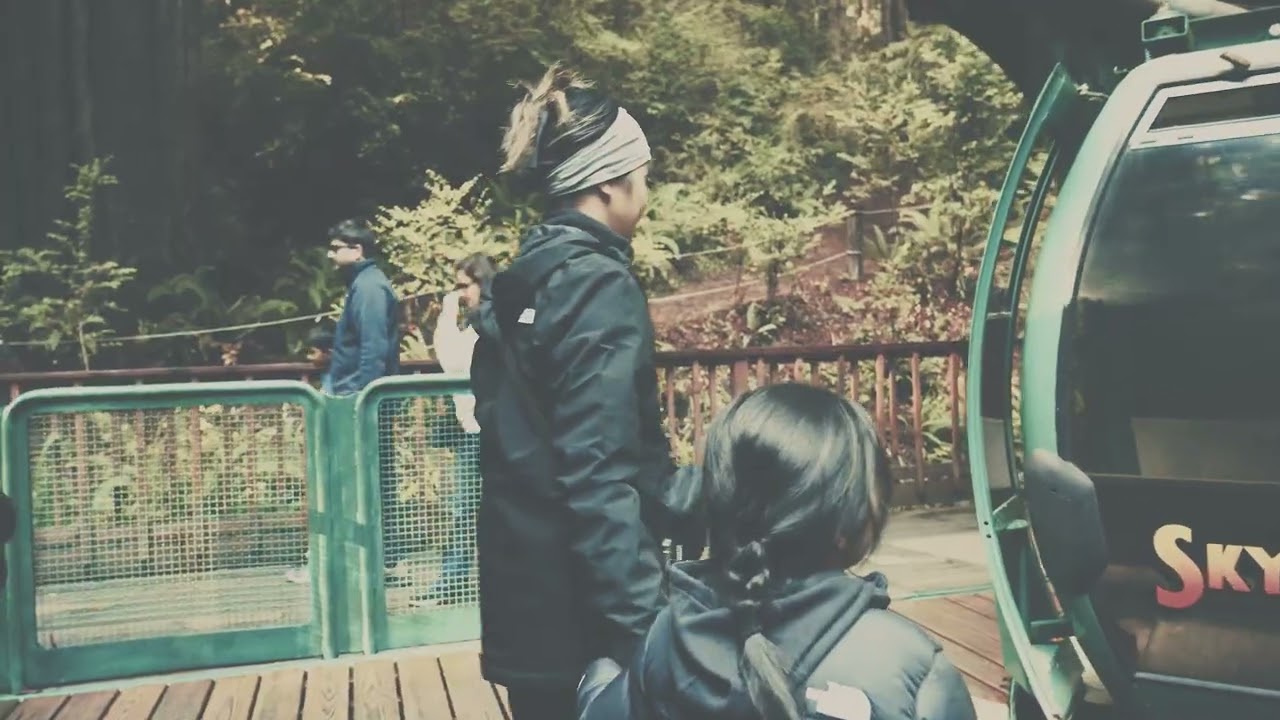 Howland Hill Road x Trees of Mystery