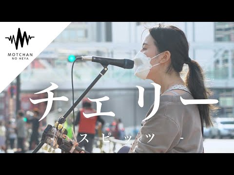 【今話題の歌うま】歌い始めた途端に続々と人が集まってきた!! チェリー / スピッツ （Covered By 冨岡愛）@tomiokaai