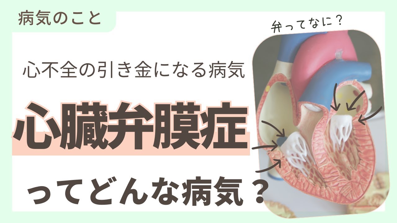 心臓弁膜症ってどんな病気？ | ふじみ野市の内科・循環器内科【飯田医院】